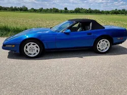 Blau Gebraucht 1992 Corvette C4 | 27.900 €
