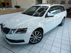 Weiß Gebraucht 2017 Skoda Octavia Drive Kombi | 16.860 € (Etwas zu teuer)