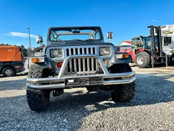 Grau Gebraucht 1990 Jeep Wrangler SUV | 5.500 €