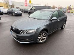 Grau Gebraucht 2019 Skoda Octavia Limousine | 14.990 € (Fairer Preis)