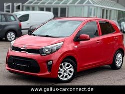 Rot Gebraucht 2019 Kia Picanto DREAM-TEAM Edition Kleinwagen | 8.990 € (Guter Preis)