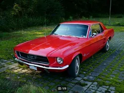 Rot Gebraucht 1967 Ford Mustang Coupé | 28.500 €