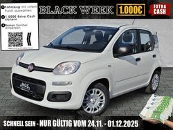 Gelato weiß Neu 2025 Fiat Panda Pop Kleinwagen | 14.990 € (Fairer Preis)