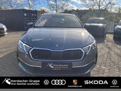 (graphite grau metallic) Gebraucht 2025 Skoda Octavia Selection Kombi | 29.980 € (Guter Preis)