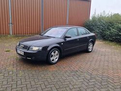 Andere farben Gebraucht 2004 Audi A4 Limousine | 2.400 € (Superpreis)