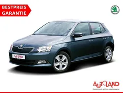 Grau Gebraucht 2018 Skoda Fabia Ambition Kleinwagen | 14.950 € (Teuer)