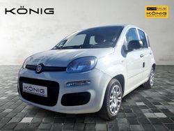 Weiß Gebraucht 2025 Fiat Panda Limousine | 12.698 € (Fairer Preis)
