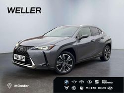 Grau Gebraucht 2021 Lexus UX 250h SUV | 27.990 € (Fairer Preis)