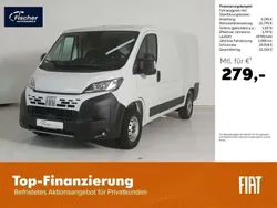 Ducato weiss Neu 2025 Fiat Ducato Van | 29.980 € (Fairer Preis)