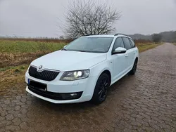 Weiß Gebraucht 2016 Skoda Octavia Joy Kombi | 8.500 € (Superpreis)
