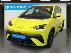 Grün Neu 2025 BYD Dolphin Boost Kleinwagen | 21.970 € (Fairer Preis)