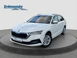 Candyweiß Gebraucht 2023 Skoda Octavia Ambition Kombi | 23.980 € (Fairer Preis)