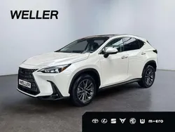 Weiss Neu 2025 Lexus NX350h E-FOUR Luxury Line SUV | 61.990 € (Etwas zu teuer)