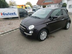 Violet Gebraucht 2014 Fiat 500 Lounge Kleinwagen | 7.300 € (Fairer Preis)
