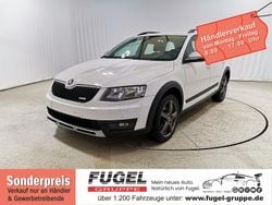 Candyweiss Gebraucht 2015 Skoda Octavia Scout 4x4 Limousine | 7.999 € (Superpreis)