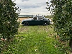 Grün Gebraucht 1963 Jaguar MK II Limousine | 16.000 €