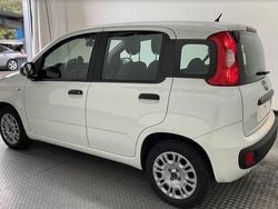 Weiß Gebraucht 2019 Fiat Panda Easy Kleinwagen | 8.250 € (Guter Preis)