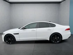 Weiß Gebraucht 2024 Jaguar XF R-Dynamic Limousine | 53.549 €