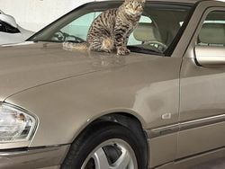 Beige Gebraucht 1997 Mercedes C240 Elegance Limousine | 9.000 €