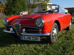 Rot Gebraucht 1965 Alfa Romeo Giulia Spider Cabrio | 59.000 €