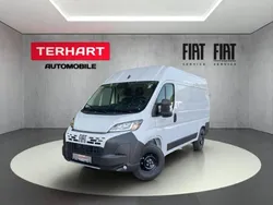 Weiss (pastell)) (weiss Neu 2025 Fiat Ducato Van | 34.495 € (Etwas zu teuer)