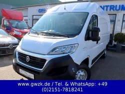 Weiss Gebraucht 2019 Fiat Ducato Van | 18.450 € (Fairer Preis)