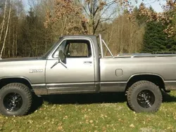 Grau Gebraucht 1984 Dodge D100 SUV | 11.999 €