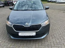 Grau Gebraucht 2019 Skoda Fabia Cool Plus Kombi | 10.450 € (Fairer Preis)
