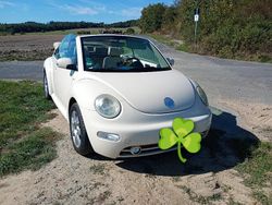Gebraucht 2004 VW Beetle Cabrio | 4.500 € (Teuer)