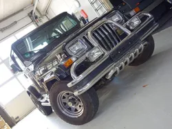 Schwarz Gebraucht 1994 Jeep Wrangler SUV | 15.900 €
