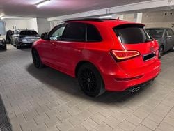 Rot Gebraucht 2015 Audi SQ5 SUV | 19.990 € (Fairer Preis)