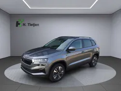 Grau Neu 2025 Skoda Karoq Tour SUV | 30.990 € (Teuer)