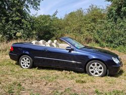 Blau Gebraucht 2005 Mercedes CLK240 Cabrio | 6.900 € (Teuer)