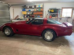 Rot Gebraucht 1981 Corvette C3 Coupé | 16.000 €