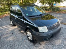 Schwarz Gebraucht 2009 Fiat Panda Kleinwagen | 1.800 € (Fairer Preis)