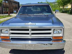 Blau Gebraucht 1988 Dodge D100 Abholung | 15.900 €