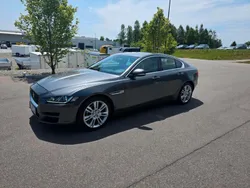 Grau Gebraucht 2016 Jaguar XE Limousine | 12.850 € (Guter Preis)