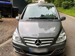 Grau Gebraucht 2010 Mercedes B200 Van / Kleinbus | 6.500 € (Etwas zu teuer)