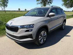 Grau Neu 2025 Skoda Karoq Selection SUV | 42.360 € (Teuer)