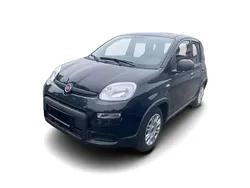 Schwarz Gebraucht 2024 Fiat Panda Kleinwagen | 15.249 € (Teuer)