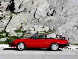 Rot Gebraucht 1988 Alfa Romeo Spider Cabrio | 21.800 €