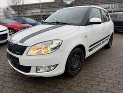 Weiß Gebraucht 2012 Skoda Fabia GreenLine Kleinwagen | 2.499 € (Fairer Preis)