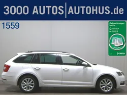Candyweiss Gebraucht 2019 Skoda Octavia Style Kombi | 11.380 € (Superpreis)