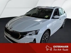 Weiß Gebraucht 2024 Skoda Octavia Selection Kombi | 26.950 € (Guter Preis)