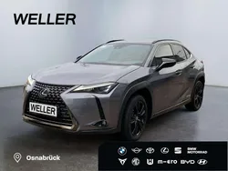 Grau Gebraucht 2022 Lexus UX 250h SUV | 27.500 € (Guter Preis)