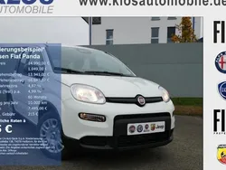 Weiß Gebraucht 2024 Fiat Panda Kleinwagen | 13.990 € (Fairer Preis)