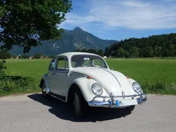 Beige Gebraucht 1965 VW Käfer Kleinwagen | 11.900 €