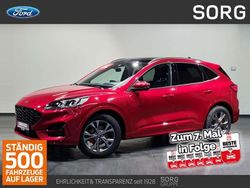 Rot, lucid red metallic Gebraucht 2024 Ford Kuga ST-Line X SUV | 25.940 € (Guter Preis)