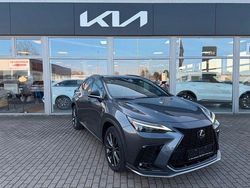 Grau Gebraucht 2022 Lexus NX450h+ Sport Line SUV | 50.990 € (Teuer)
