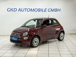 Violet Gebraucht 2019 Fiat 500 Lounge Kleinwagen | 9.990 € (Fairer Preis)